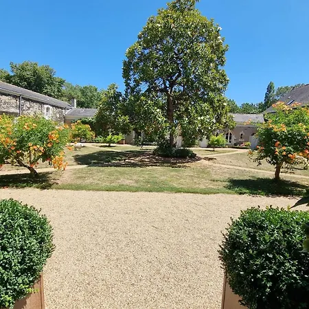 Les Rangeardieres - Piscine - Familial * Saint-Barthélemy-d'Anjou