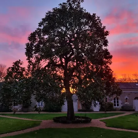 別荘 Les Rangeardieres - Piscine - Familial Saint-Barthélemy-d'Anjou