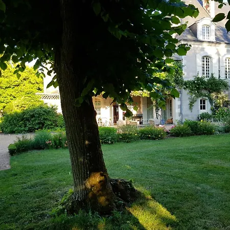 Les Rangeardieres - Piscine - Familial Saint-Barthélemy-d'Anjou